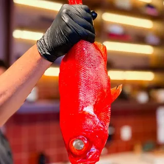Kinmedai Nigiri (1 pc)