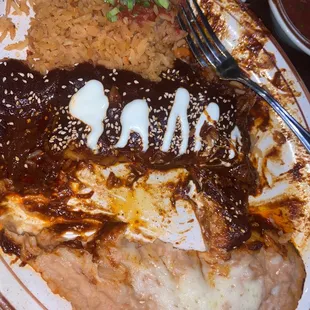 Half eaten MOLE ENCHILADAS