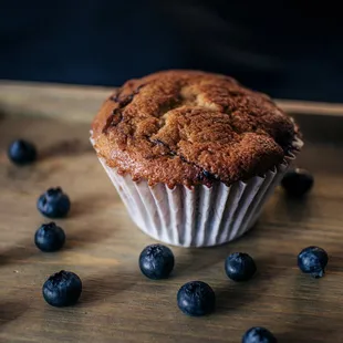 Blueberry Muffin -XA muffins are baked fresh daily!