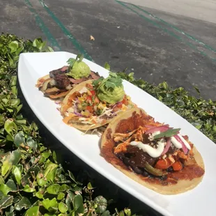Gourmet tacos