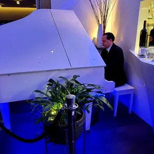 Live Pianist