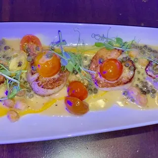 Scallops (Xtenia)