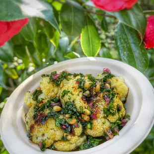 a person holding a plate of food