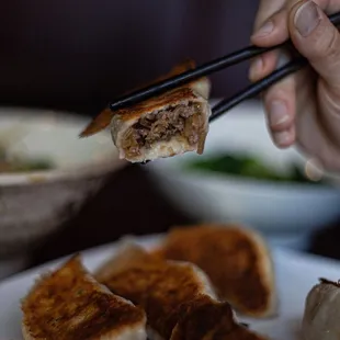 Pork Pan Fried Dumplings