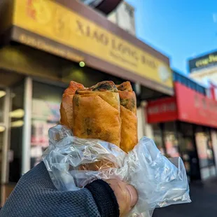 Fried shrimp rolls $4.25