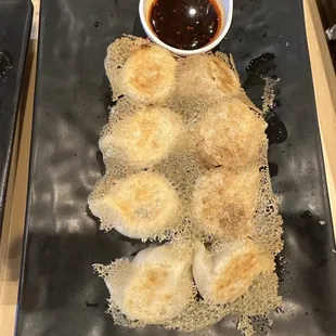 Chicken dumplings