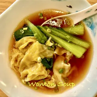 Wonton Soup