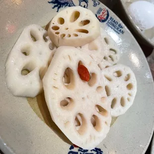 Lotus Root