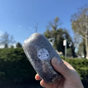Crunchy Purple Rice Burrito