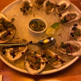 East coast oysters