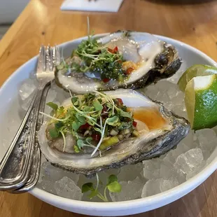 Raw Oysters