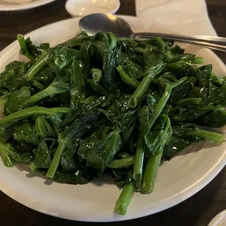 Snow Pea Leaf with Garlic