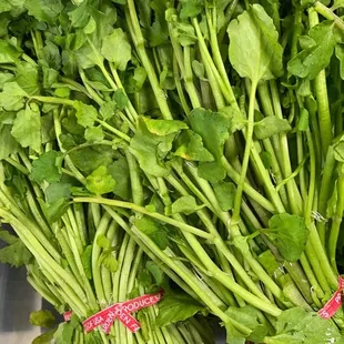 a bunch of green vegetables