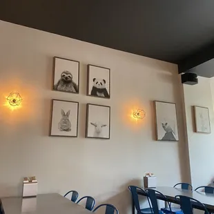 Decor