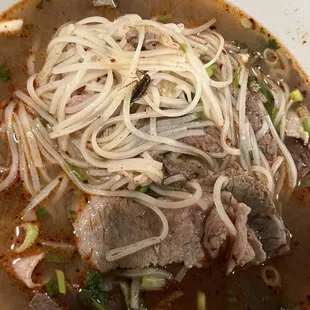 Roach in the beef soup