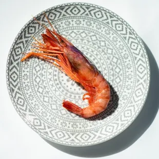 Gamba Roja de Dènia