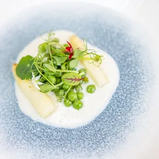 +white Asparagus Soup