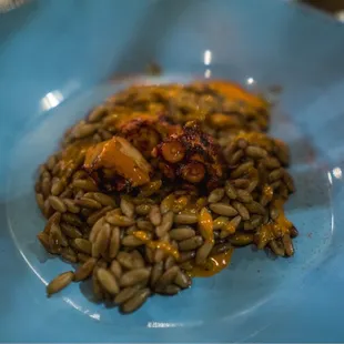 food, pasta dish, pasta