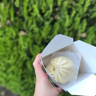 Pork and Cabbage Baozi