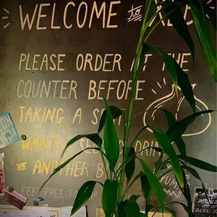 Welcome to XLB. Please order at the counter before taking a seat. Want a second drink or another bite? Yum