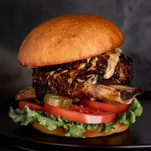 a closeup of a burger on a plate
