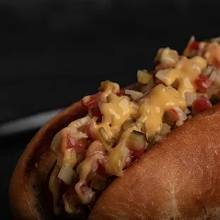 a hot dog with toppings