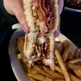 Nice BLT with lots of bacon!