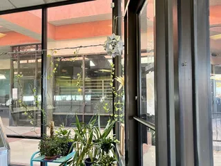 Fat City Eats, Treats and Sweets