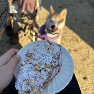 Xochi The Dog Cafe