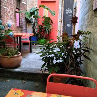 Courtyard area(looks much better in person)