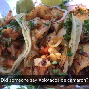 Xolotaco de manta raya, taco botana and taco de camaron