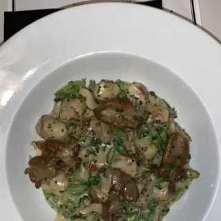 Ricotta Gnocchi