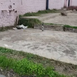 The abandoned building