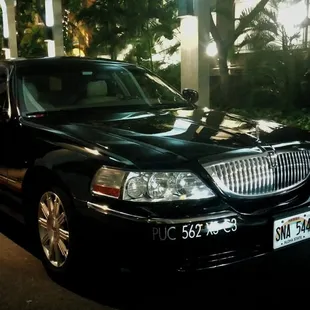 Dinner transfer services