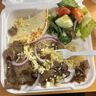 Gyro Plate