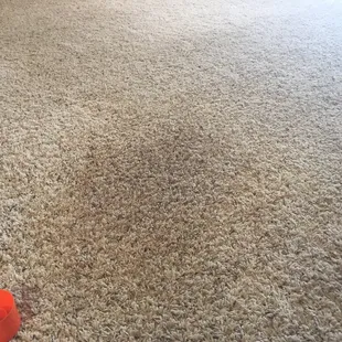 This is using a can spot shot on that stain.
