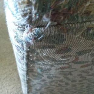 These are all the snags that he left on the sofa using the wrong wand