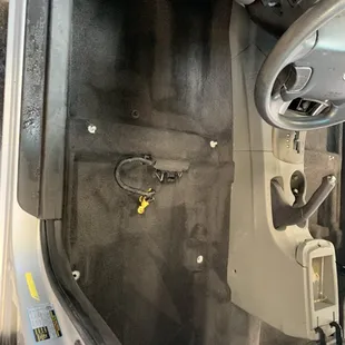 Freshly shampooed carpets