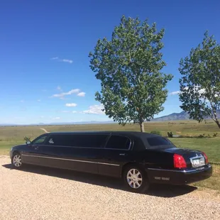 BLACK LINCOLN LIMO