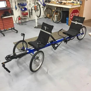Recumbent tandems?!?! Not always in stock...