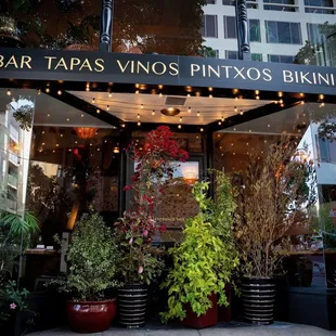 Tapas y Pintxos , the garden outside the dining room