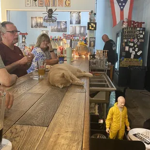 a baby sitting at the bar