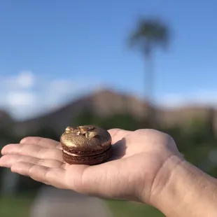 Ferrero Rocher inspired macarons, sooooo delicious and moist!! Highly recommend!!