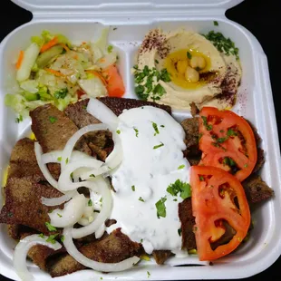 Gyro Plate.