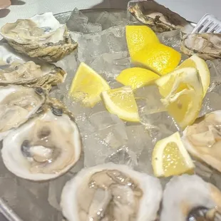 Raw oysters