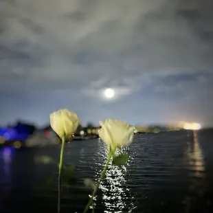 Tribute to our loved ones who have passed on.