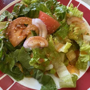 Side salad that comes with an entree. (Choice of side of soup or salad)