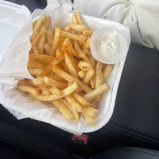 Fries with garlic dip