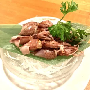 Fire Fly Squid! This Season just started!!!