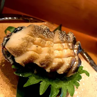 Live Abalone sashimi